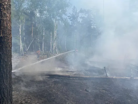 New fires have broken out in the Chernobyl exclusion zone following the Russian attack
