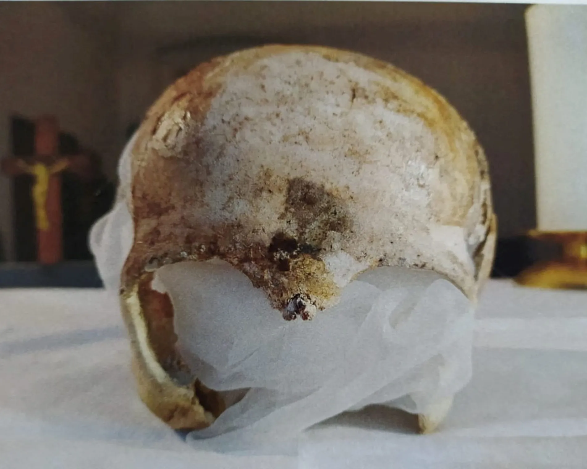 An 800-year-old skull believed to belong to Saint Zdislava of Lemberk. Photo: Czech Police