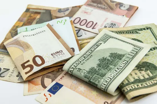 What will the exchange rates for the dollar and the euro be by 24 May?