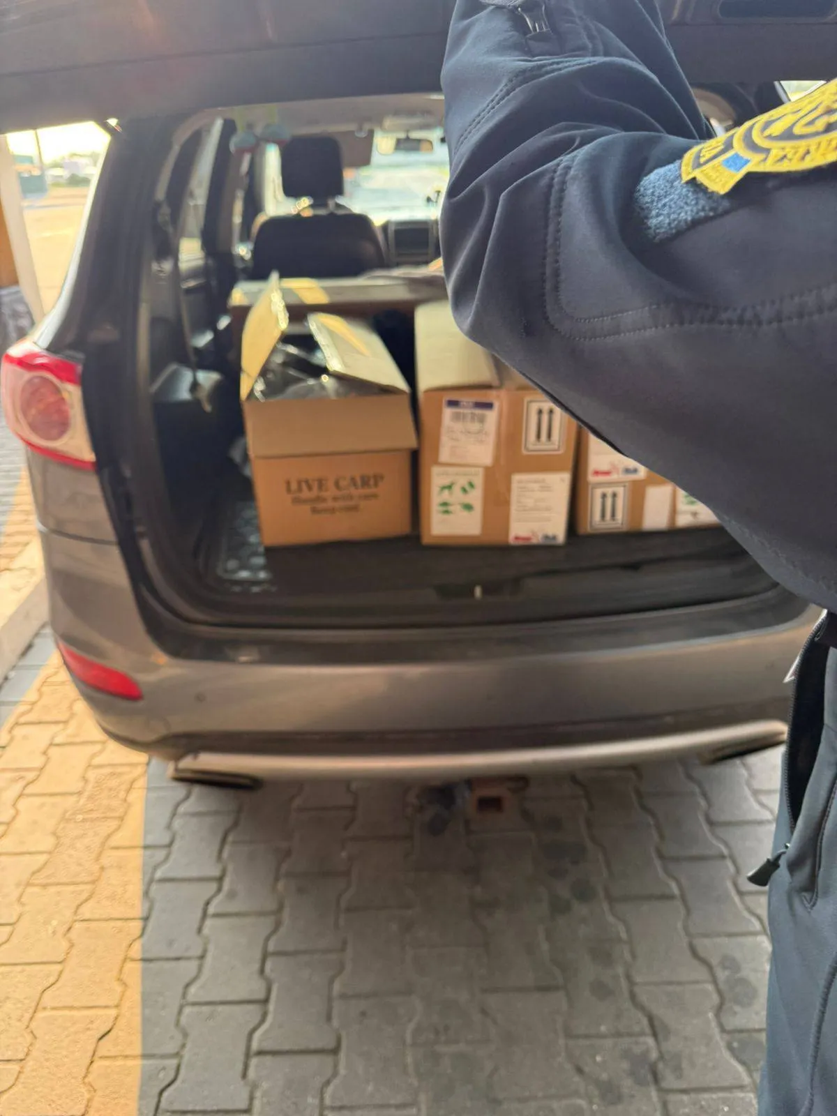 Customs officers in Krakivka have seized over a hundred smuggled Japanese koi carp worth more than a million hryvnias