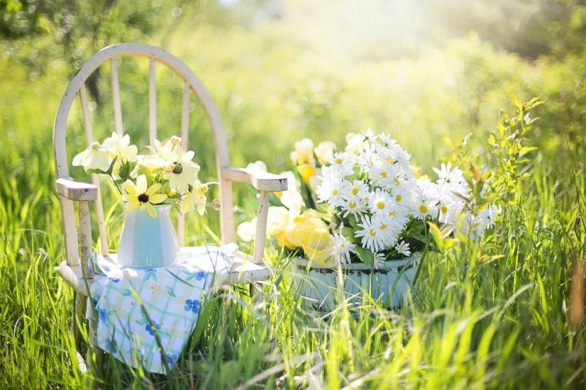 Weather forecast for 23–24 May: which regions will get a break from the downpours, and where there will be thunderstorms