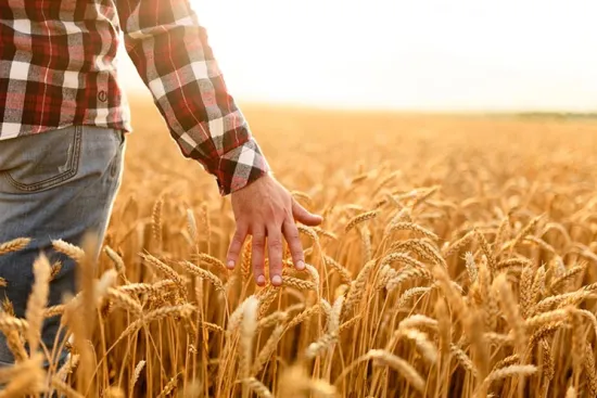 A UN project on demining and support for farmers is launching in the Kherson region