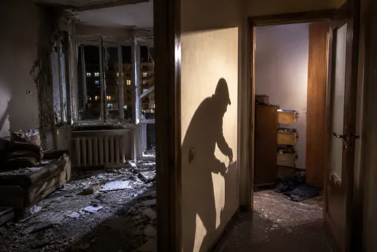 A suspect in a series of thefts following the Russian Federation’s attack has been arrested in Kyiv
