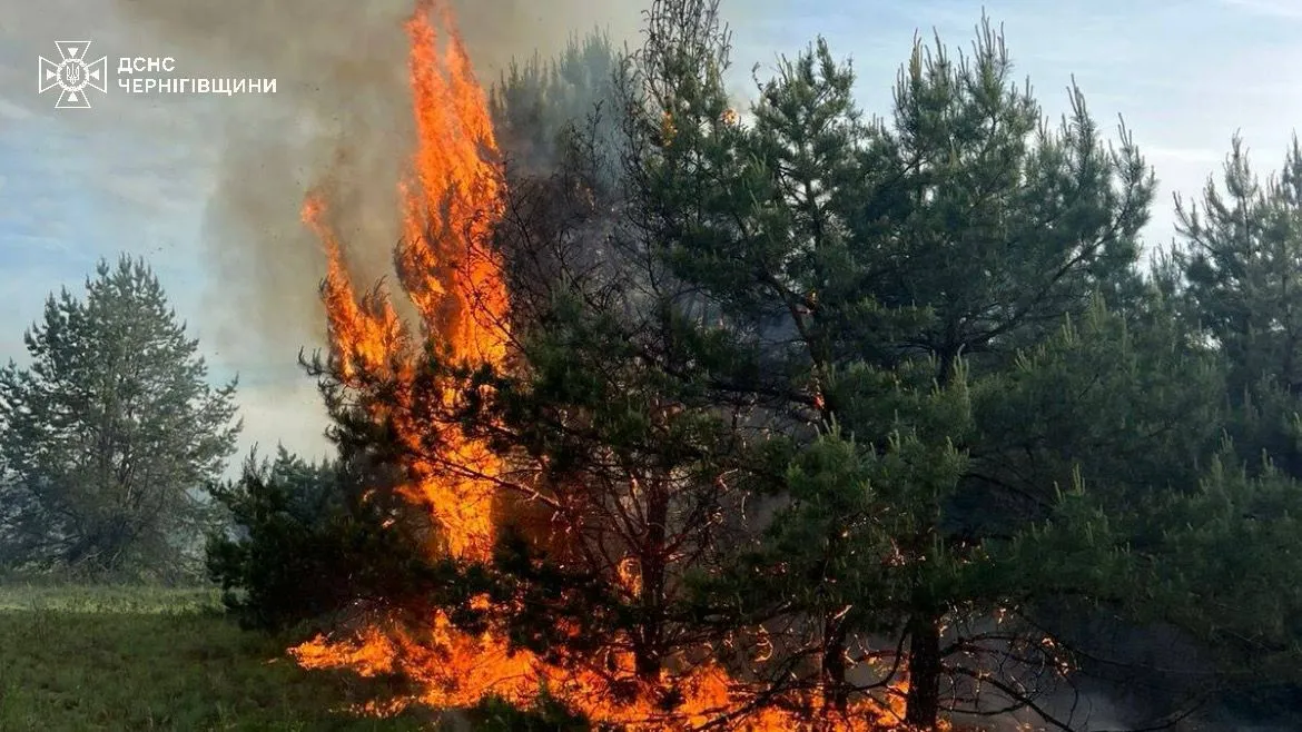 Russian troops have attacked a number of regions in Ukraine over the past 24 hours; there have been fatalities and dozens of people have been injured
