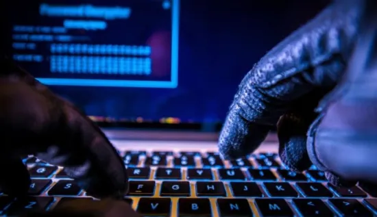 800 servers seized and a pianist arrested: the Netherlands has dismantled a Russian hacker network
