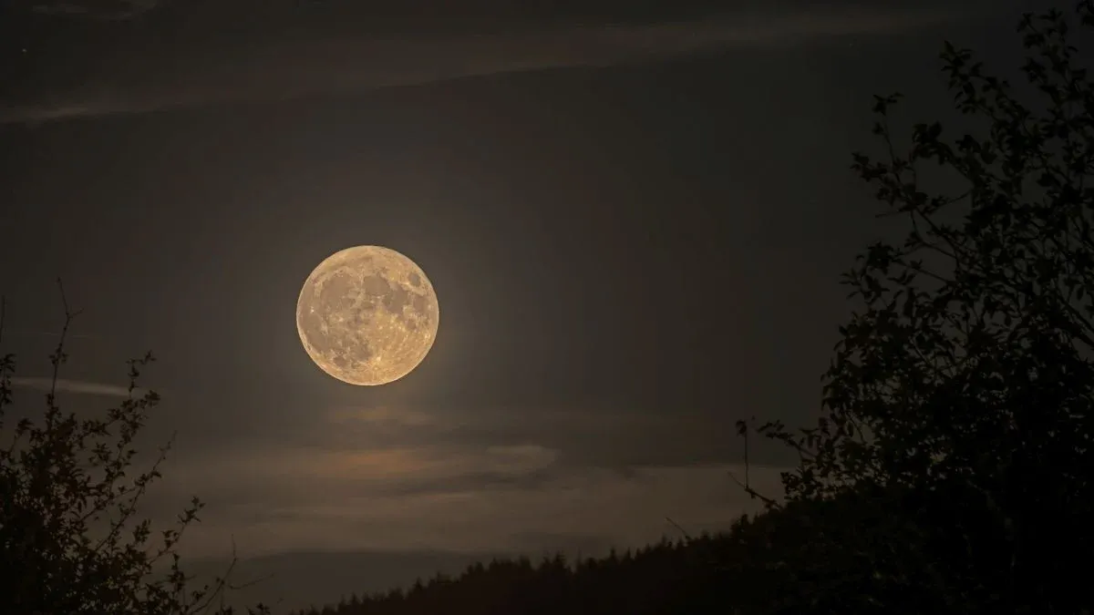 The Blue Micro-Moon of 2026: a rare full moon will be visible on 30–31 May