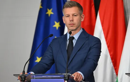Budapest has set out 11 conditions for Ukraine regarding the Hungarian minority