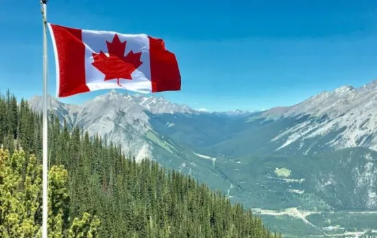 US citizens are fleeing to Canada in droves to escape Trump: what reasons do they give?