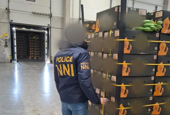 A record 522 kilograms of cocaine, hidden amongst bananas, has been seized in Hungary