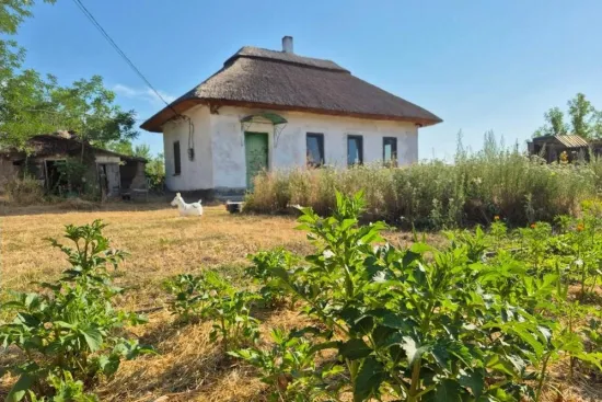 A programme called ‘Houses in the Village’ is being launched for internally displaced persons: who is eligible for housing?