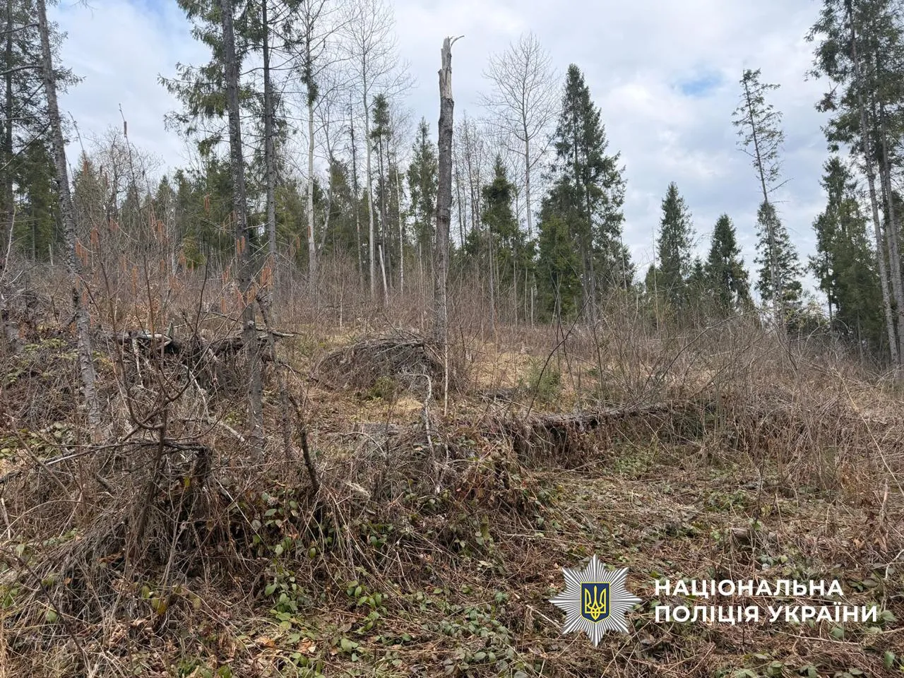 На Львівщині двом посадовцям лісгоспу оголосили підозру через знищення понад 20 тисяч дерев