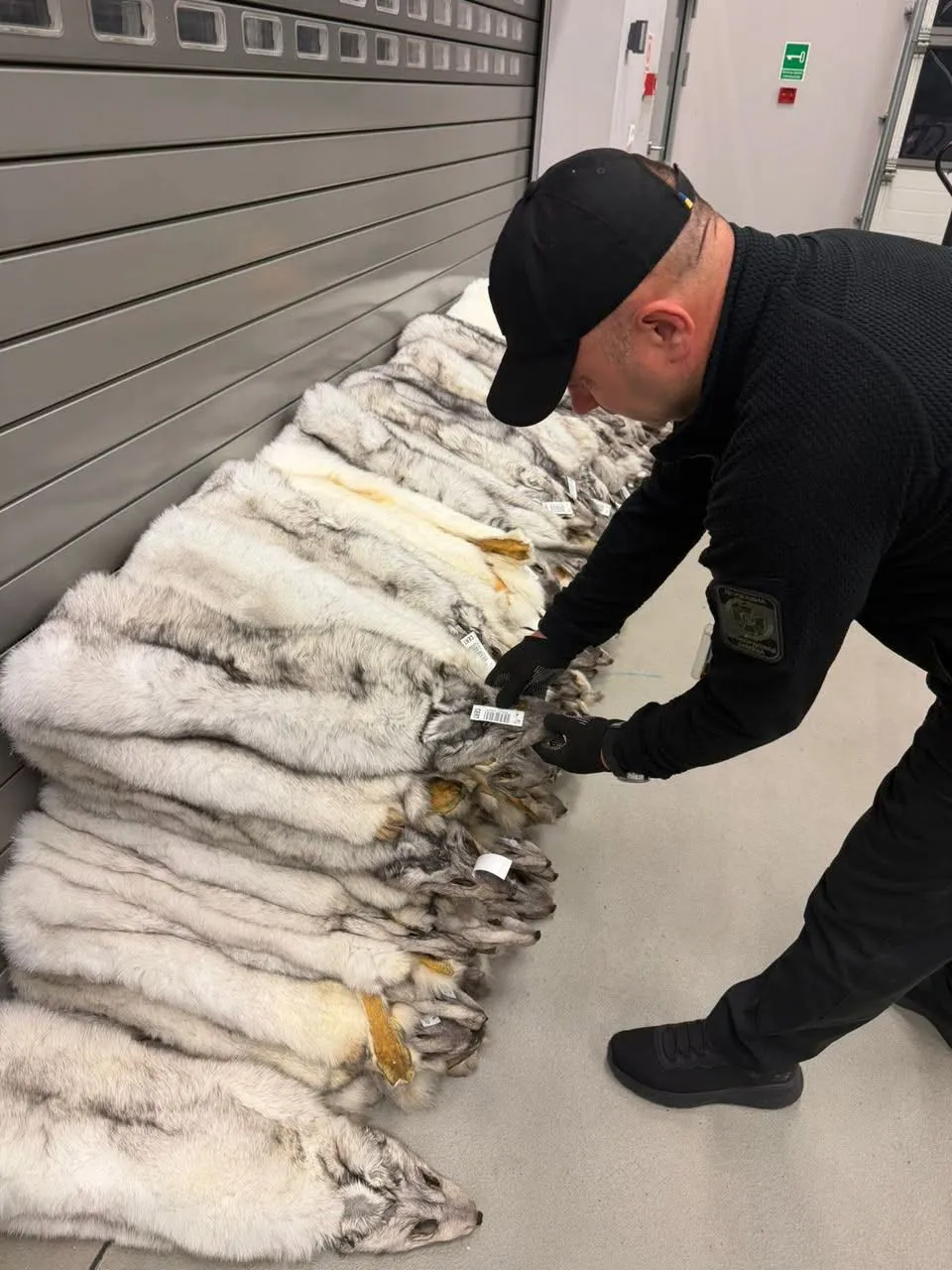 120 fox pelts were found on a bus travelling from Warsaw to Ivano-Frankivsk