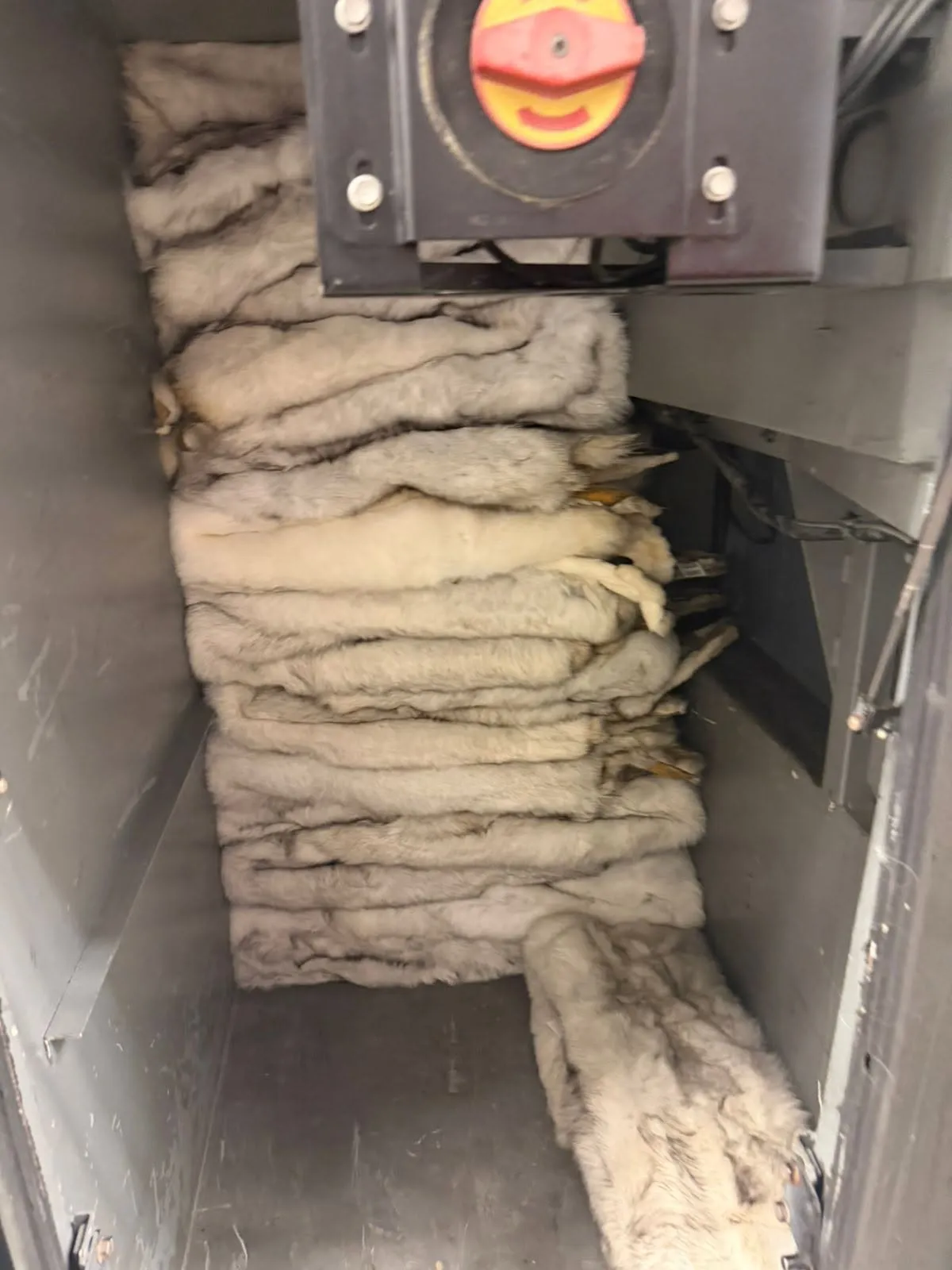120 fox pelts were found on a bus travelling from Warsaw to Ivano-Frankivsk