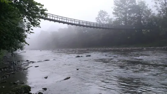 A bridge collapsed in Bukovina, trapping children underneath: what is known about the victims