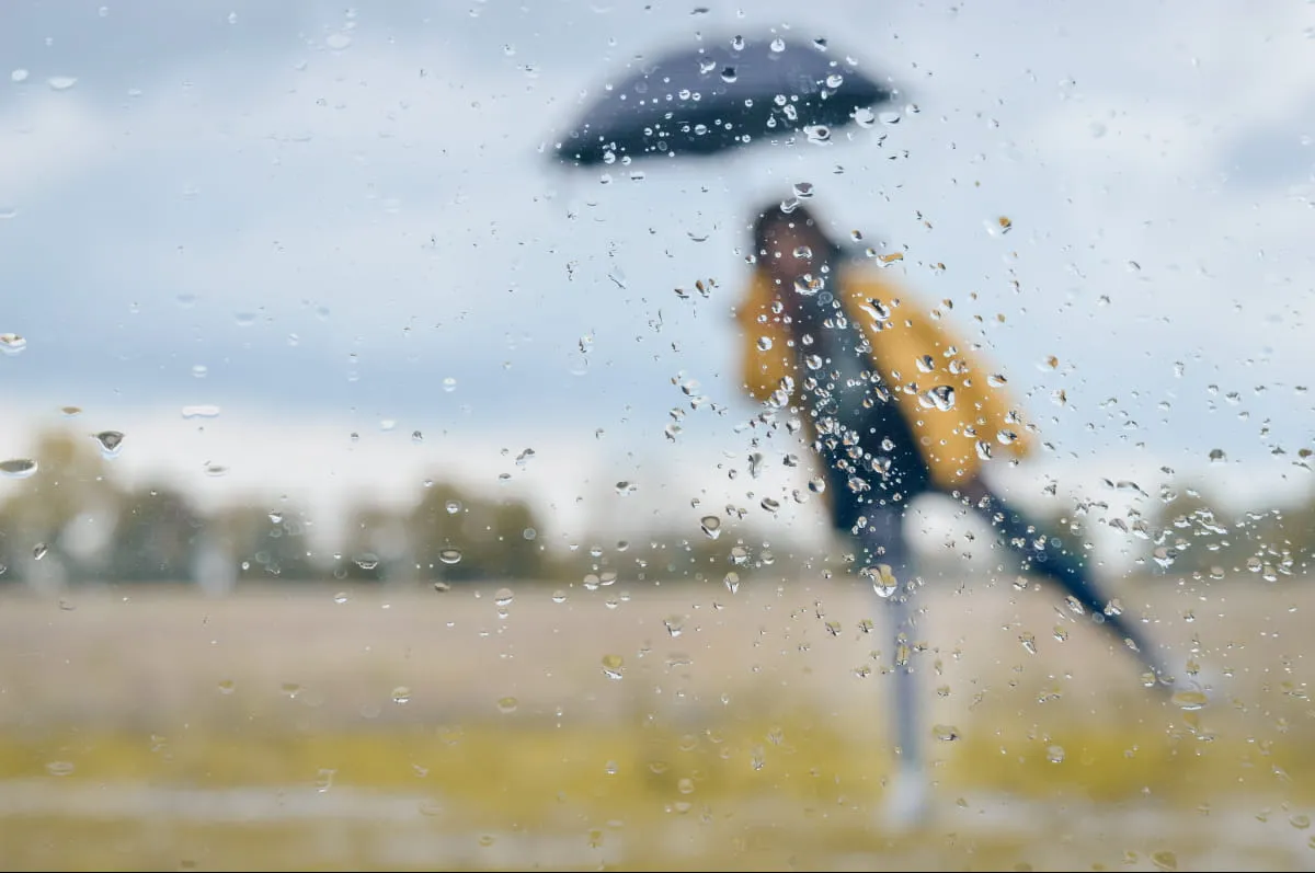 Weather in Ukraine on 8 June 2026: rain and gale-force winds