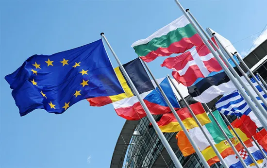 П'ять країн ЄС хочу урізати права нових членів після вступу до блоку - Reuters