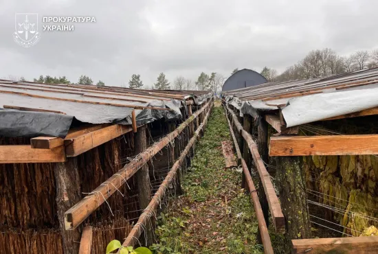 Правоохоронці викрили підпільне виробництво тютюну на понад 25 мільйонів гривень