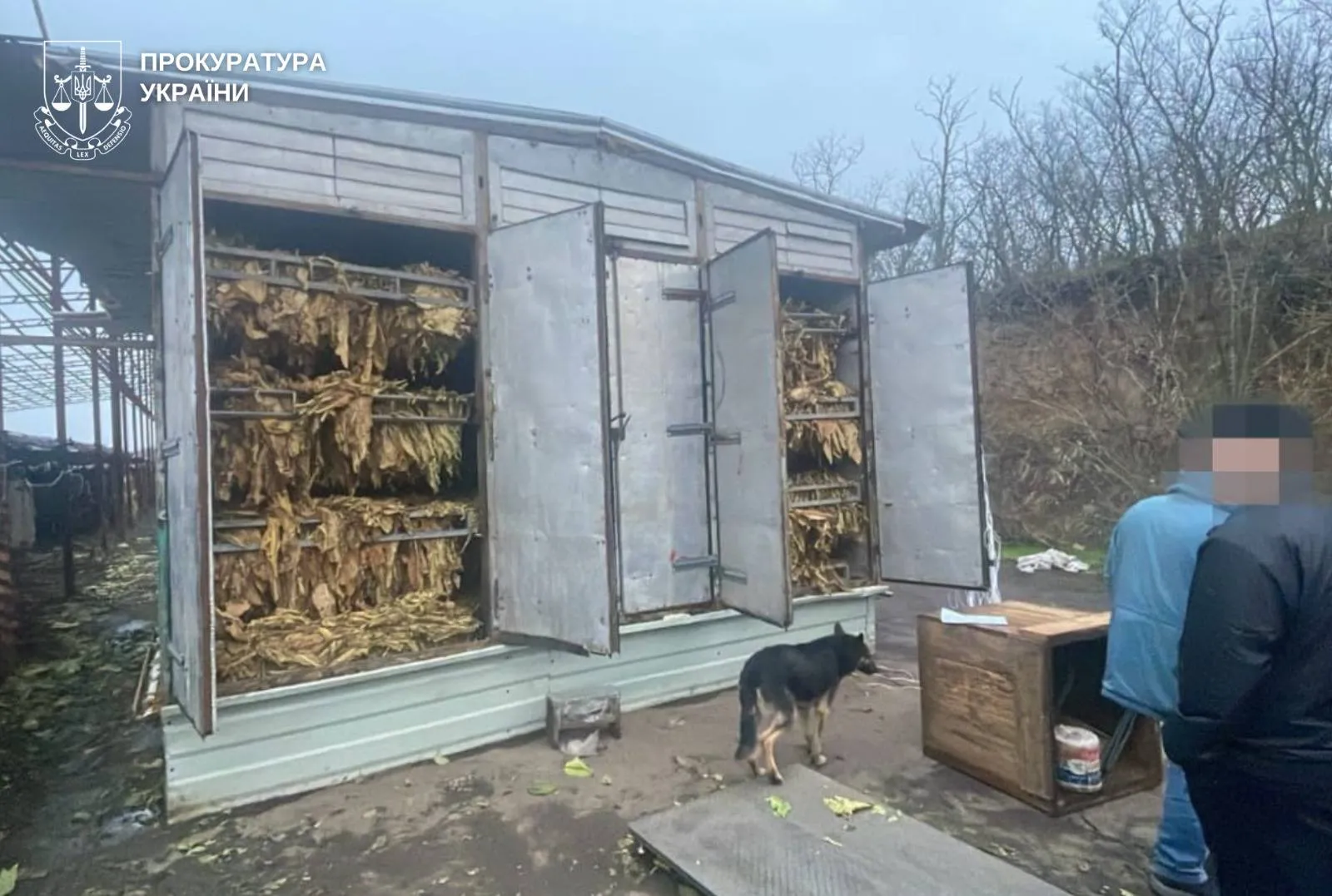Правоохоронці викрили підпільне виробництво тютюну на понад 25 мільйонів гривень