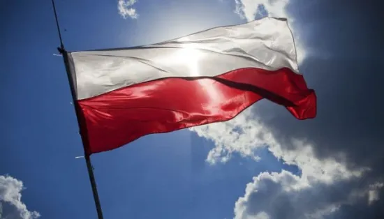 Рішення щодо підрозділу «імені Героїв УПА» погіршило ставлення до українців у 52% поляків — опитування