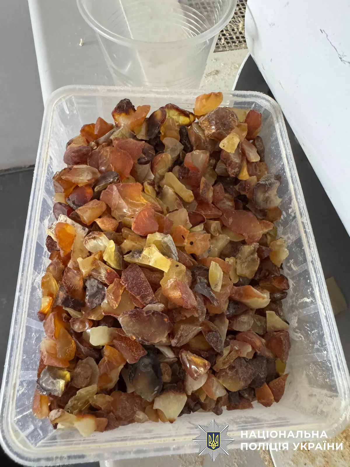 A large-scale amber smuggling operation has been uncovered in the Rivne region