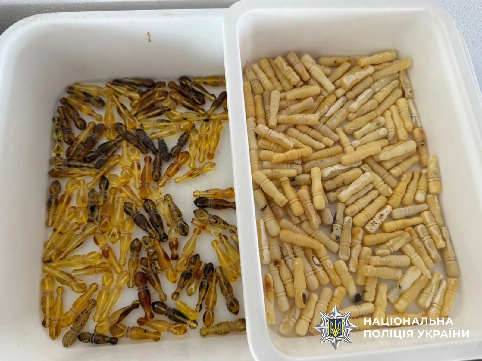 A large-scale amber smuggling operation has been uncovered in the Rivne region