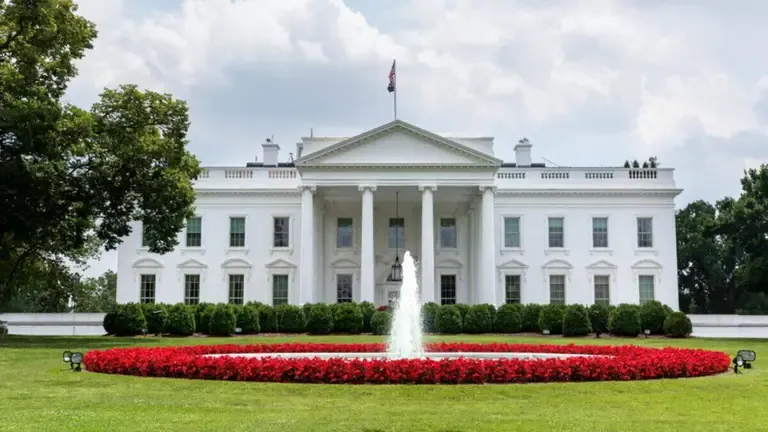 The US has given the go-ahead for an MMA tournament to be held near the White House