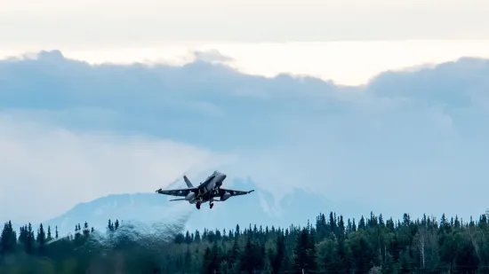 An F/A-18 Hornet fighter jet crashed in the US during a training flight 