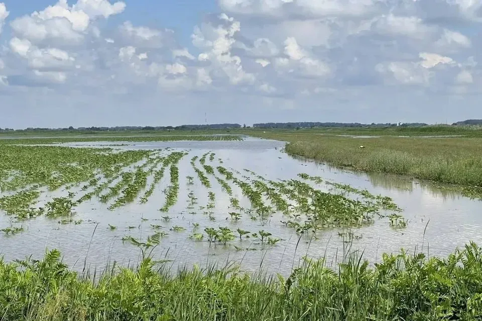 Дамбу на Кубані прорвало: у Росії оголосили режим надзвичайної ситуації