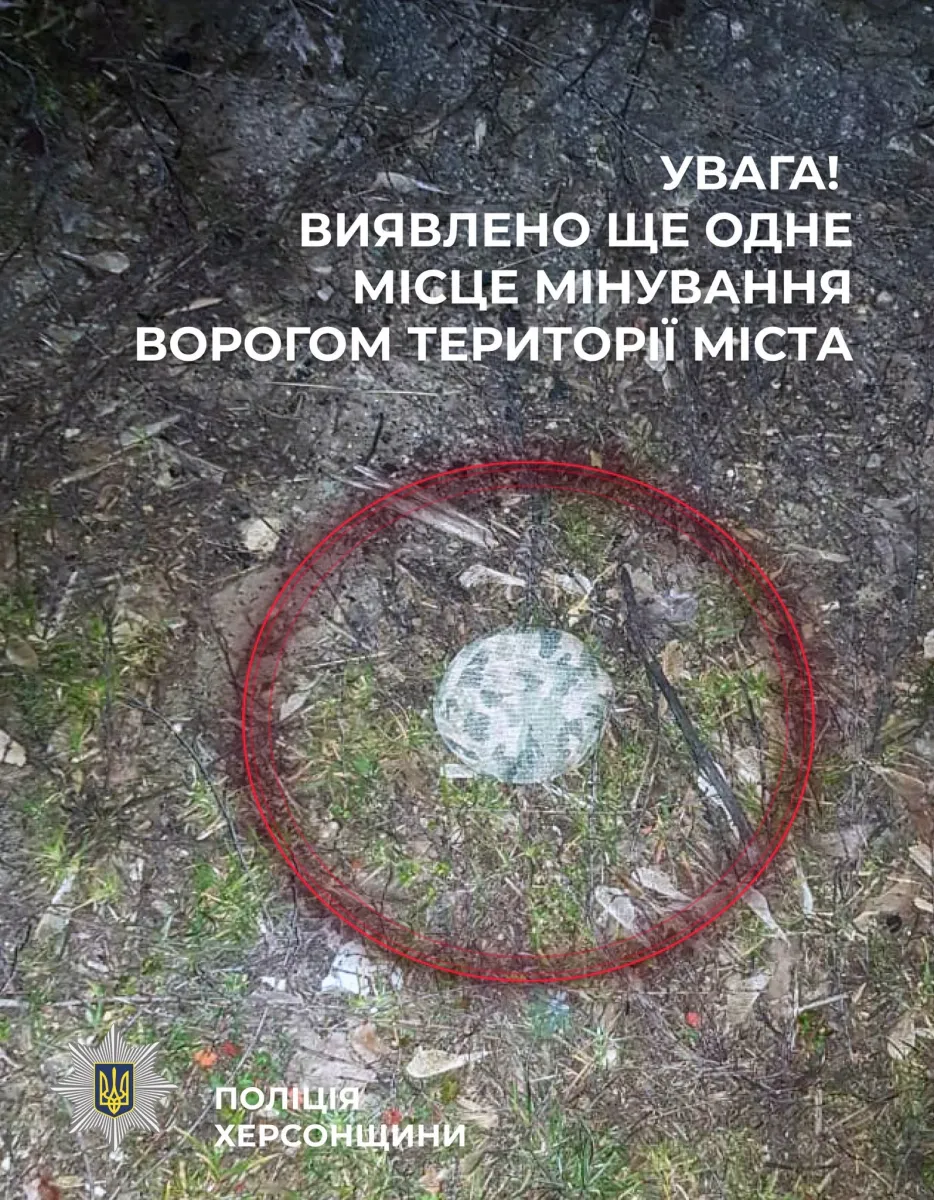 На Херсонщині виявили нові російські протипіхотні міни типу «Пряник»