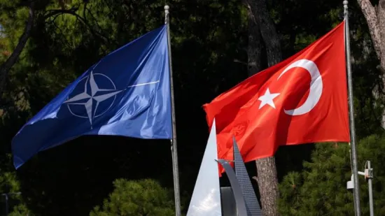 Саміт НАТО в Анкарі має визначити майбутню архітектуру безпеки Альянсу - Ердоган