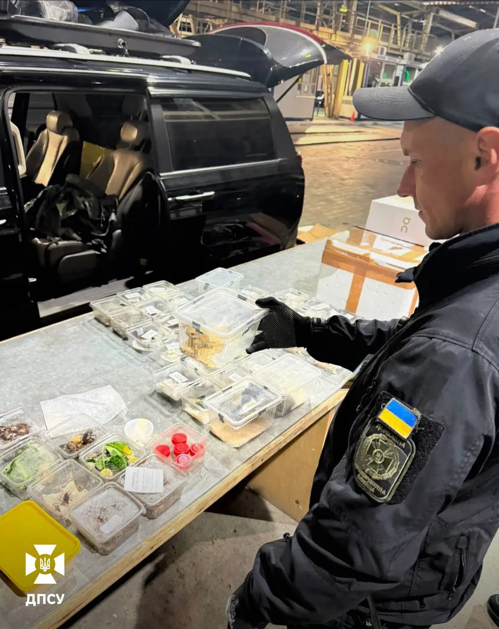 На кордоні з Польщею прикордонники виявили 77 контейнерів з екзотичними тваринами та комахами (ВІДЕО)
