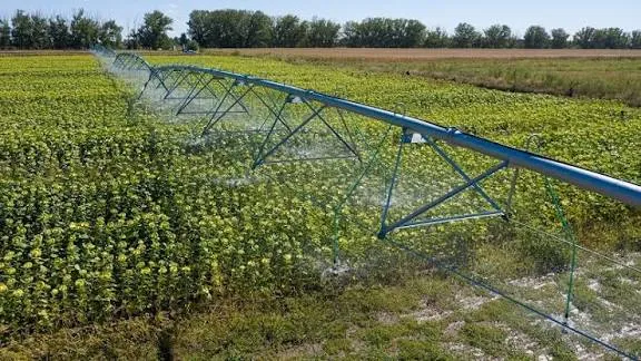 Farmers will be compensated up to 1,000 UAH per hectare for the purchase of Ukrainian fertilisers
