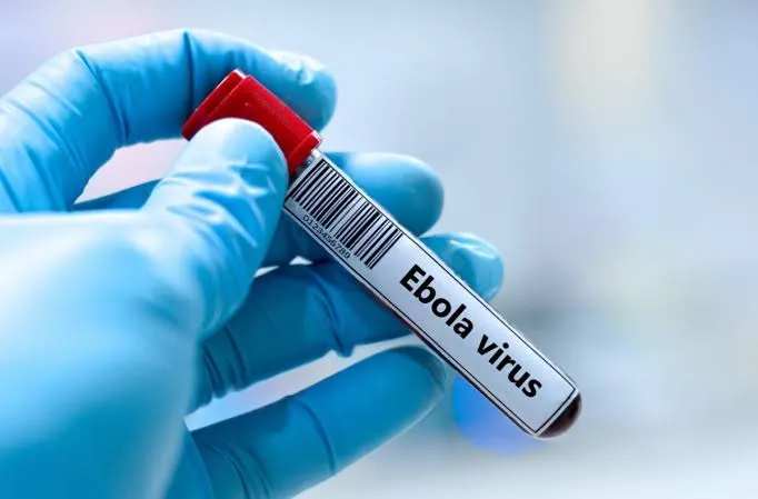 Ebola has reached Europe: where the case was reported and what is known about the patient