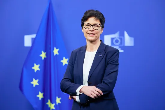 Україна та ЄС узгодили план реформ для вступу до Союзу