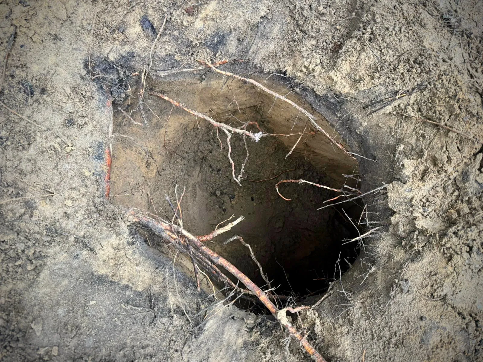 Poland discovers fourth tunnel under the border with Belarus this year