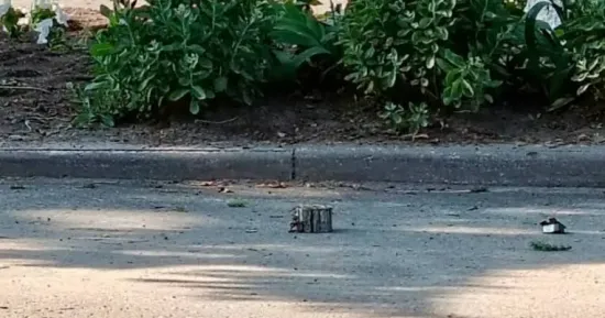 In the Kursk Region of the Russian Federation, a car carrying local administration staff was blown up by a landmine