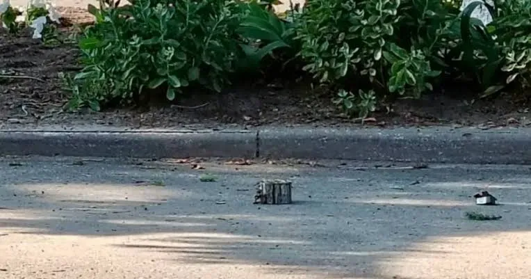 In the Kursk Region of the Russian Federation, a car carrying local administration staff was blown up by a landmine