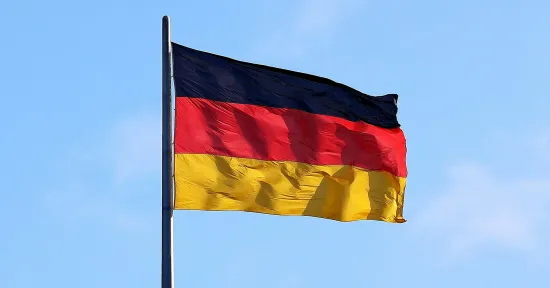 У Німеччині близько 20 тисяч людей протестують проти з'їзду партії AfD