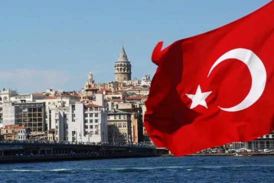 A wave of arrests of journalists and activists took place in Turkey ahead of the NATO summit