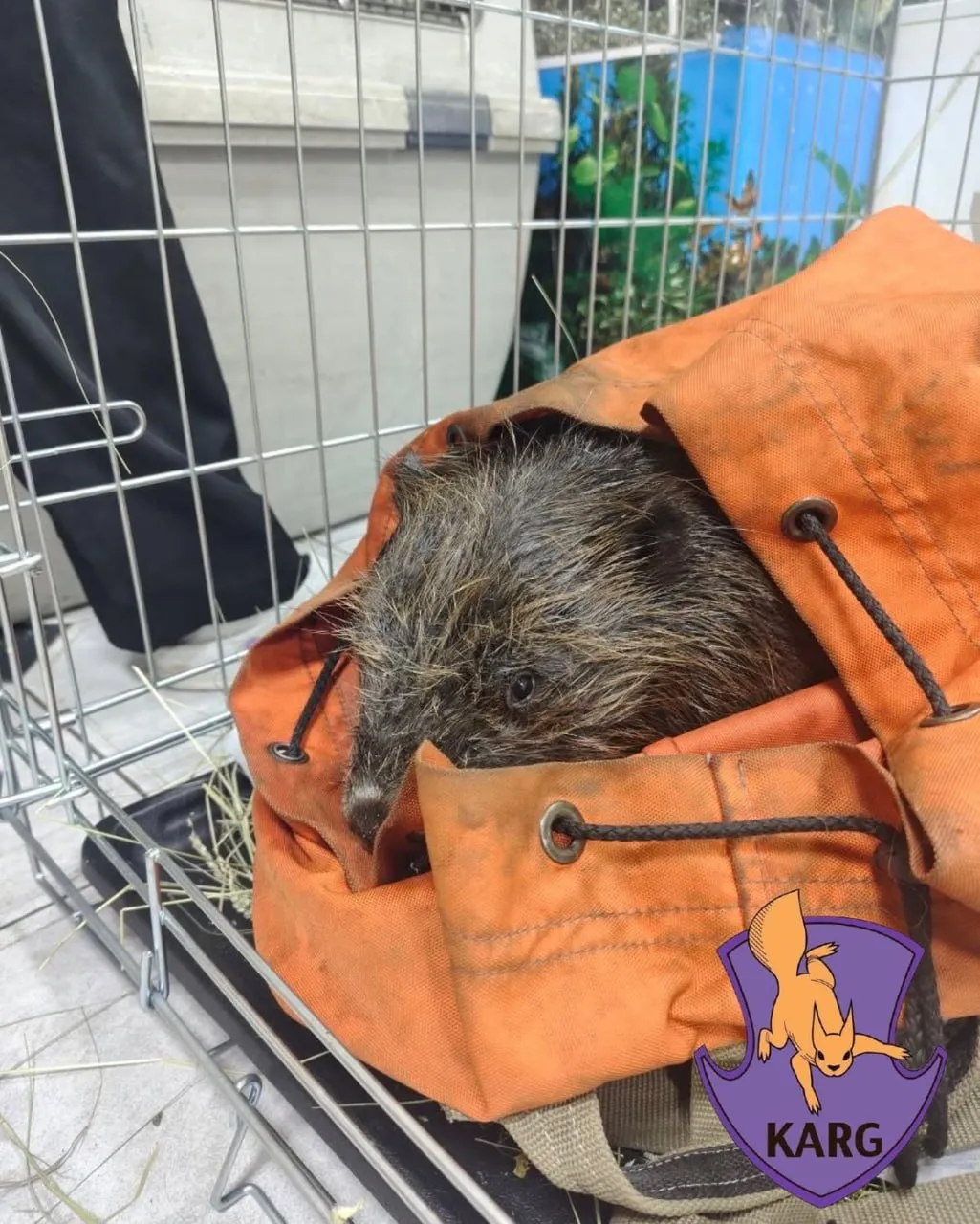 Після атаки РФ у Києві до Кирилівського озера потрапили понад 350 тонн пального