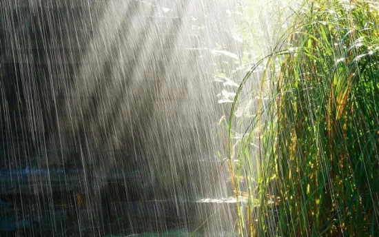 The weather in Ukraine on 10 July 2026 will bring rain, thunderstorms and squalls