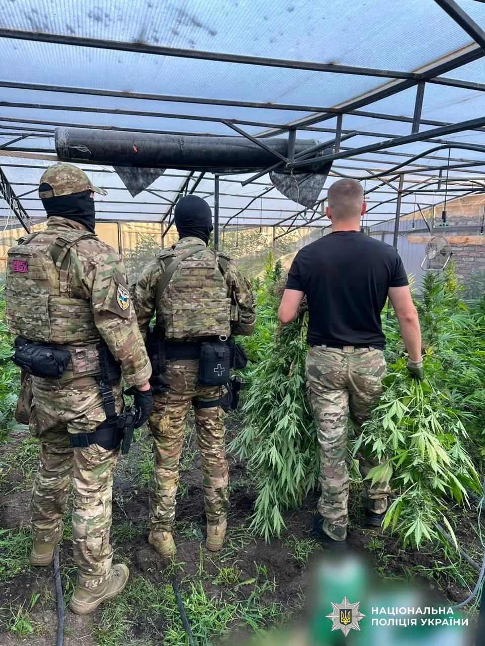 В Україні під час спецоперації ліквідували 12 нарколабораторій та оголосили 74 підозри