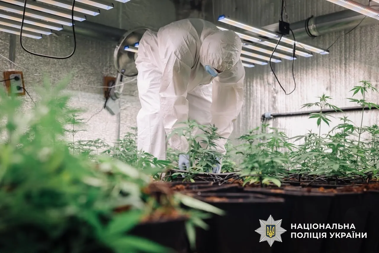 В Україні під час спецоперації ліквідували 12 нарколабораторій та оголосили 74 підозри