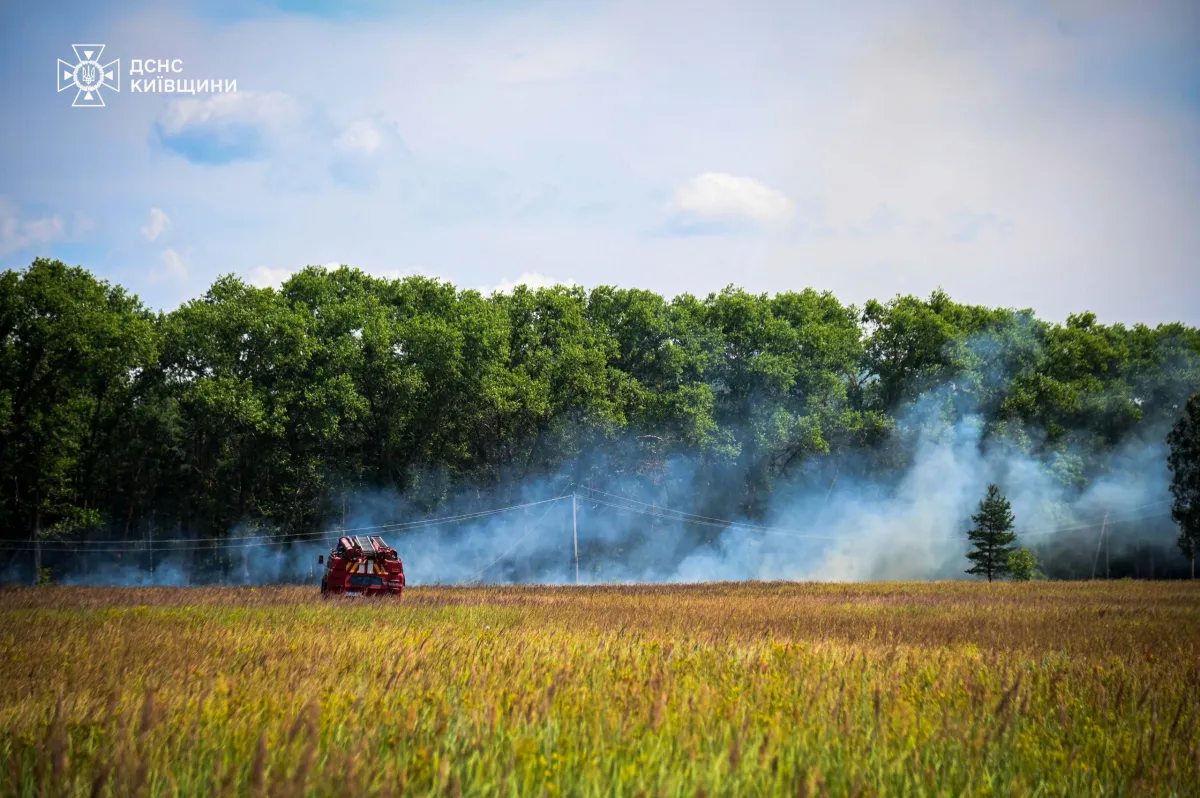 Rescue workers have put out a forest fire in the Chernobyl exclusion zone — the second such incident since the start of July