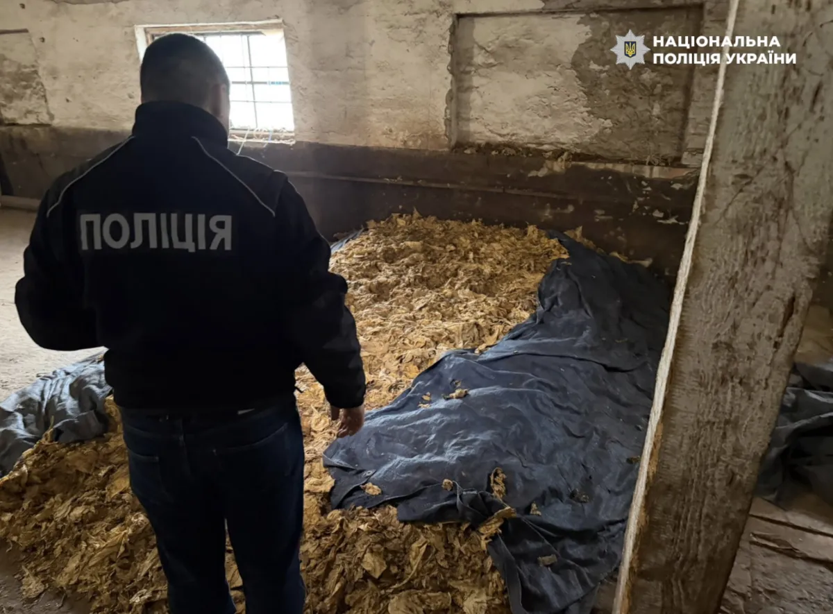 До суду передали справу групи, яку підозрюють у незаконному виробництві та збуті тютюну