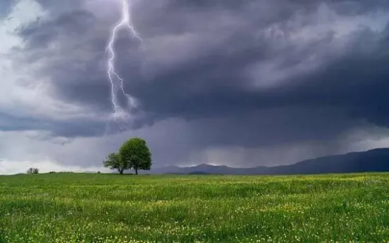 Weather in Ukraine on 20 July 2026: downpours, hail and squalls
