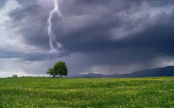 Weather in Ukraine on 20 July 2026: downpours, hail and squalls