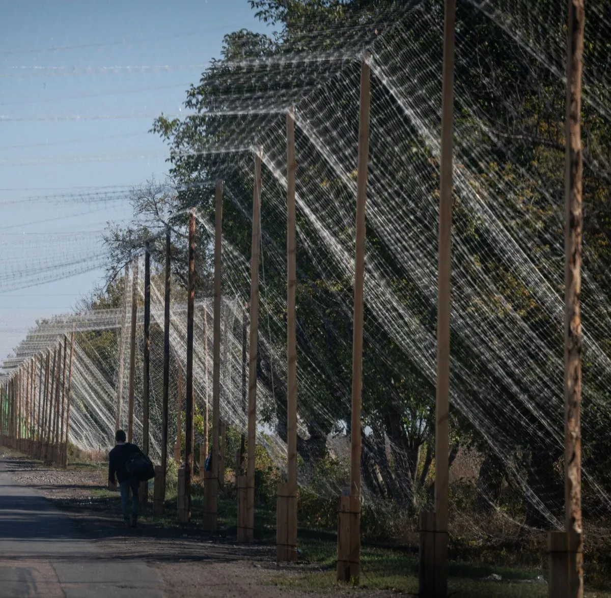 У Сумах антидроновими сітками вже захистили понад 12 кілометрів доріг