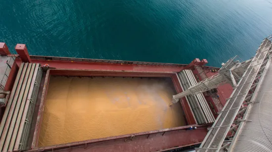 Блокування Азовського моря скоротило експорт російської пшениці до найнижчого рівня за майже десять років