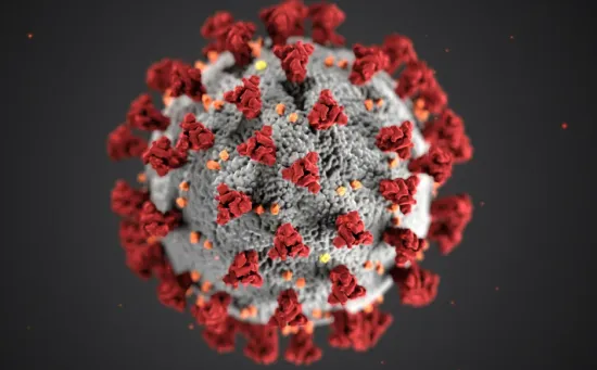 A man with the hantavirus has been hospitalised in the Lviv region: what were his symptoms?